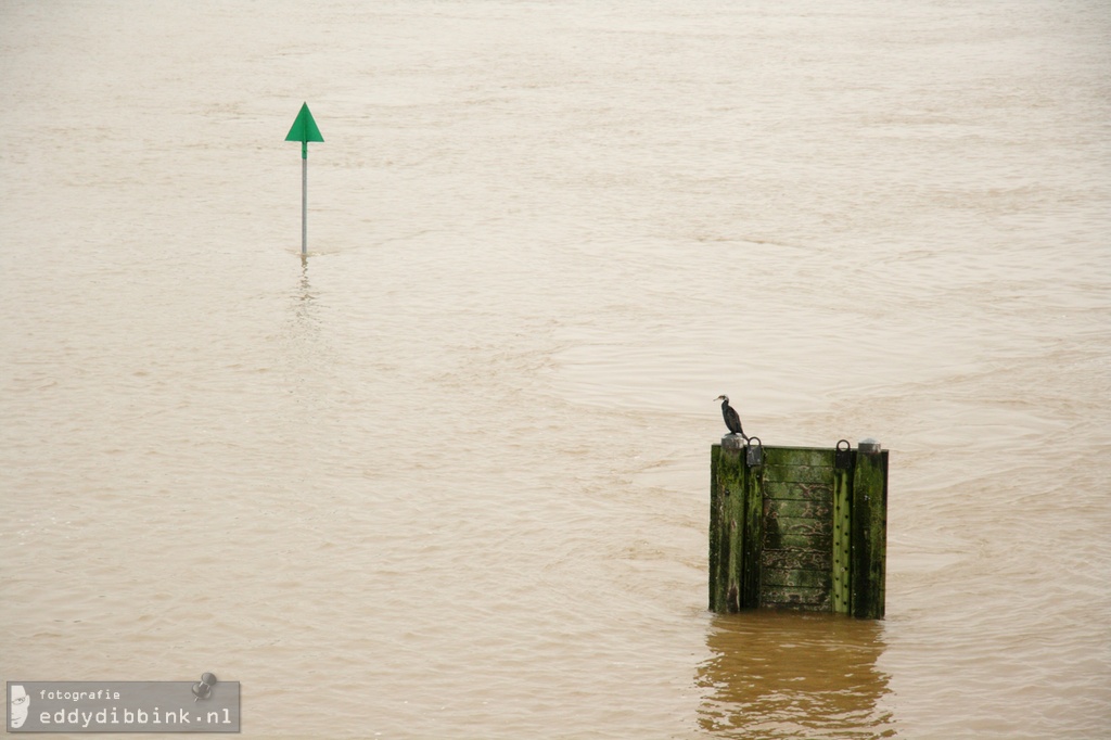 2011-01-14 Hoog water, Deventer 069 (1)